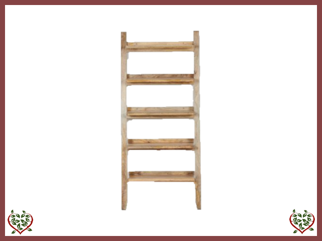 LADDER BOOKCASE ~ FORGE COLLECTION