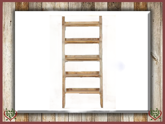 LADDER BOOKCASE ~ FORGE COLLECTION